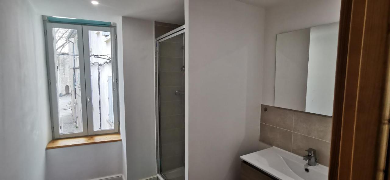 Appartements Et Studio Renoves En 2022, Intra Muros アヴィニョン エクステリア 写真